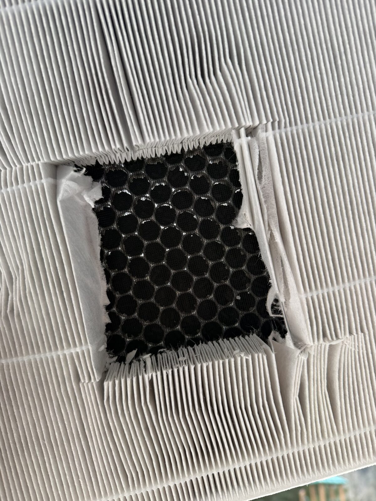 Close-up of Lectron filter carbon layer showing honeycomb structure