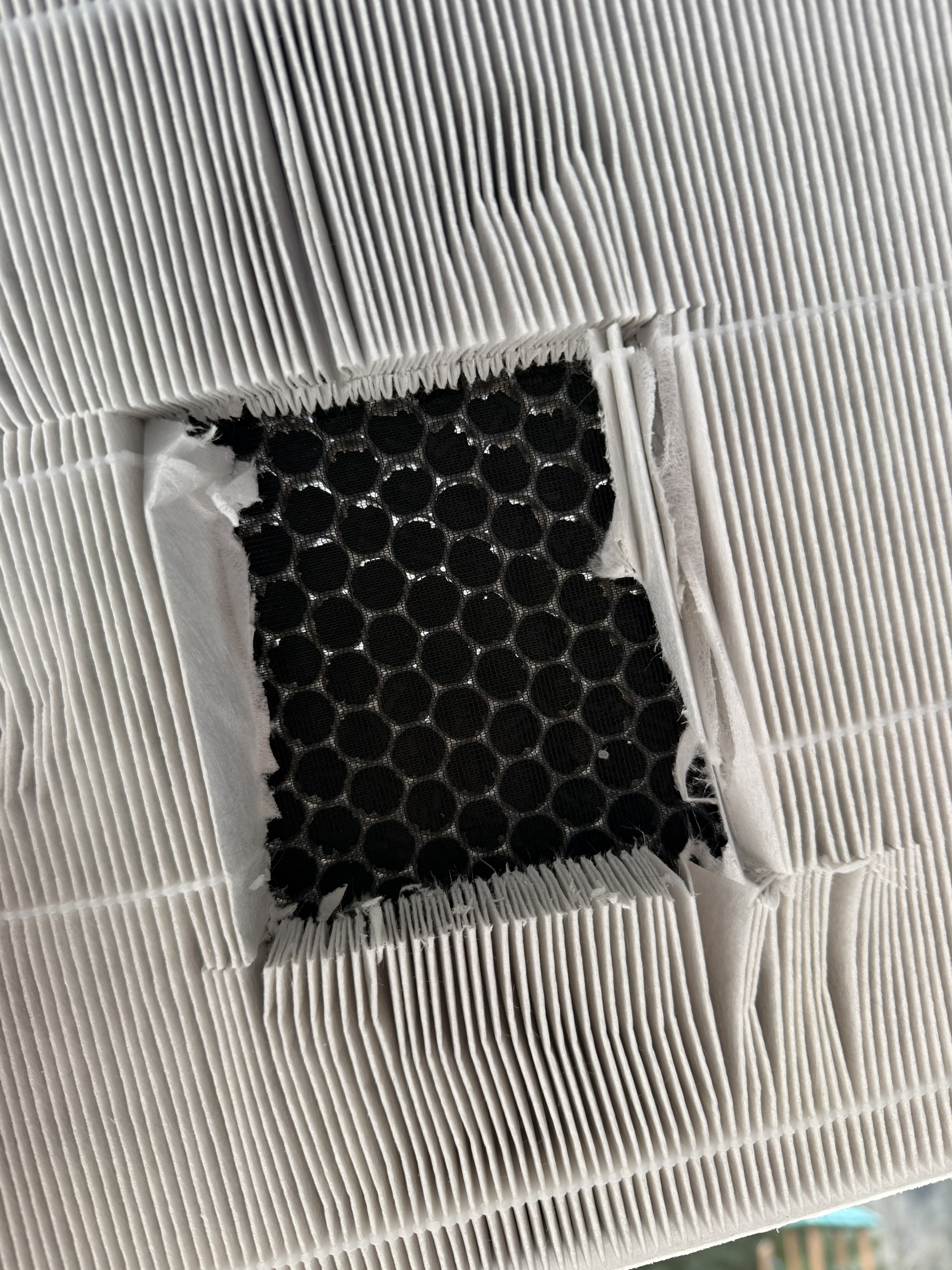 Close-up of Lectron filter carbon layer showing honeycomb structure