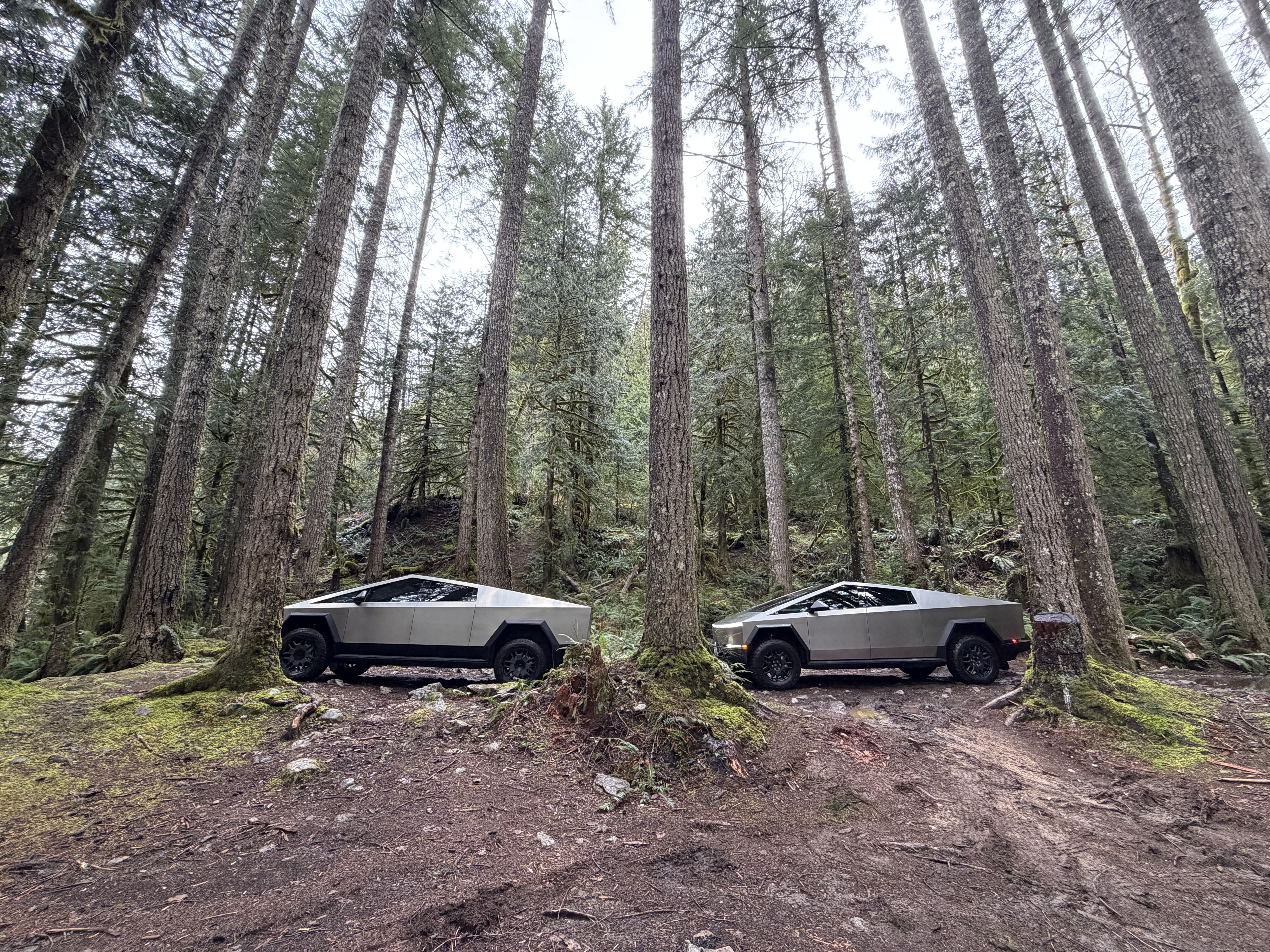 Cybertruck on an off-road trail